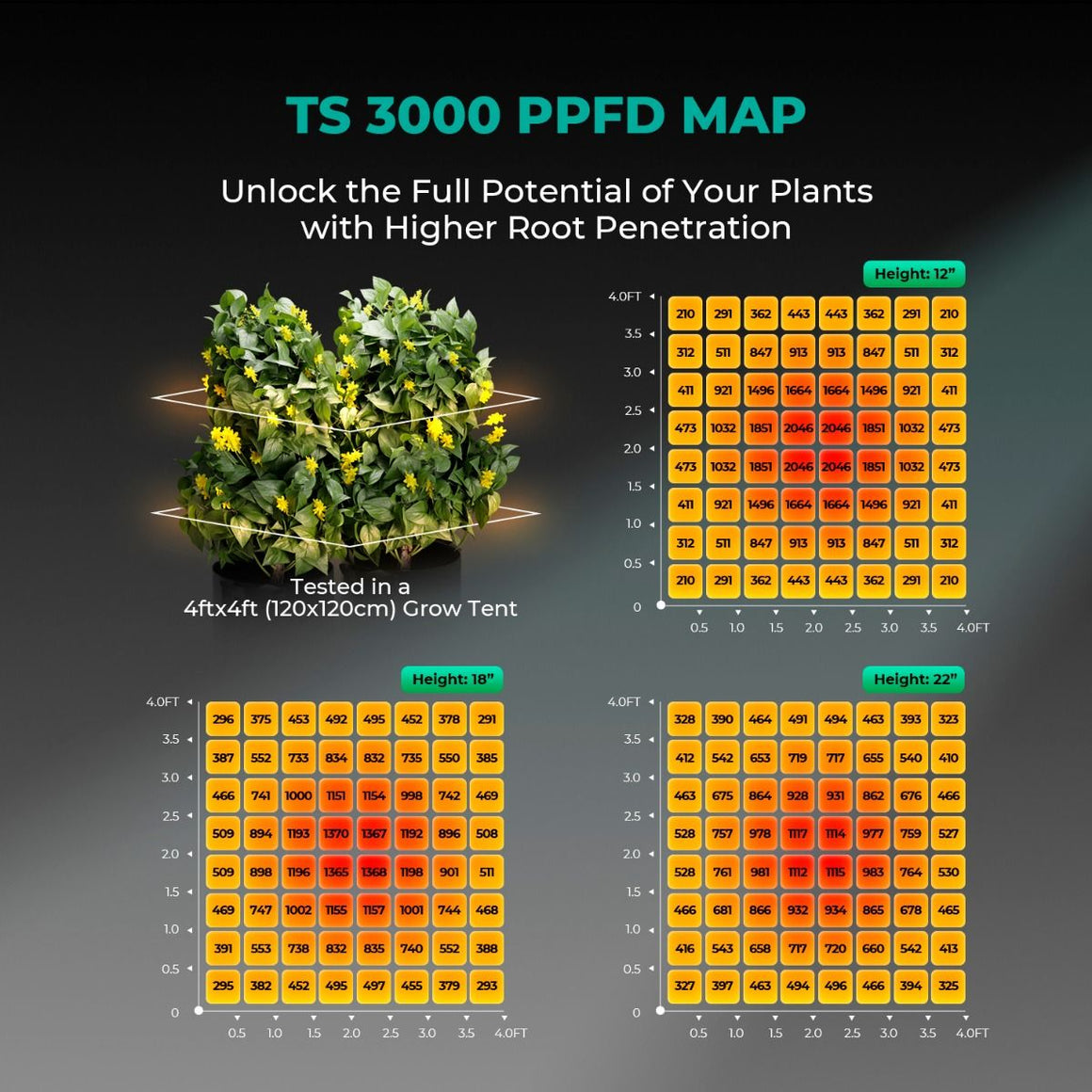 Mars Hydro TS3000 LED grow light PPFD map for a 4x4 tent at 12", 18", and 22" heights.