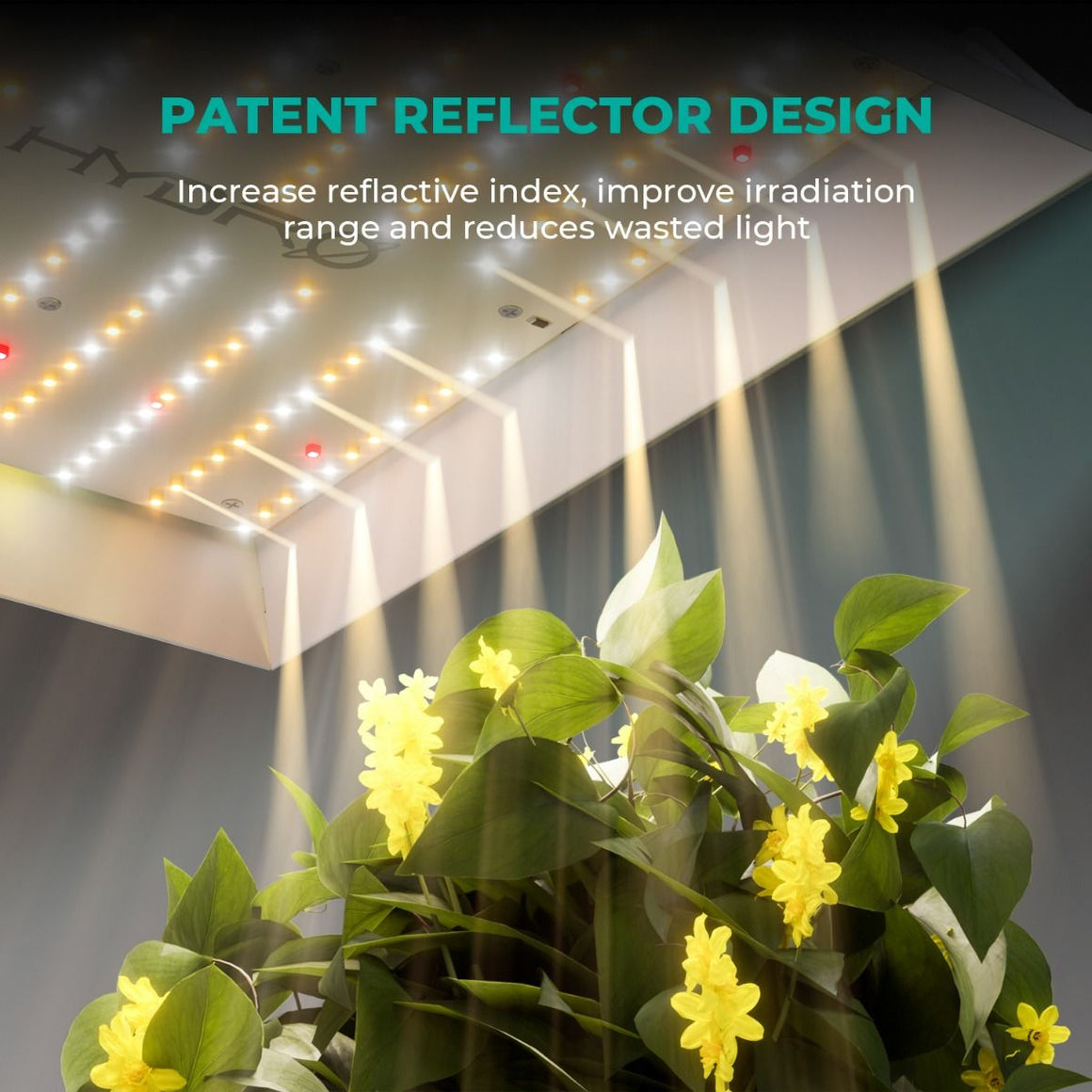 Mars Hydro TS3000 grow light patent reflector design shown above yellow flowers, emphasizing irradiation and reduced light waste.