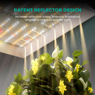 Grow light with patent reflector design illuminates yellow flowers and green plants.
