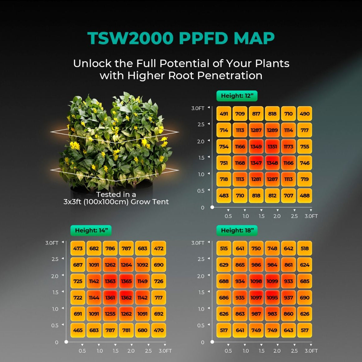 Mars Hydro TS W2000 PPFD map showing light distribution at different heights and distances.
