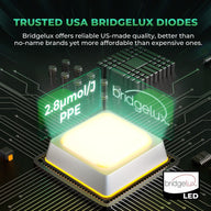 USA Bridgelux LED chip with 