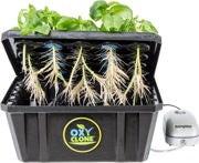 OxyCLONE PRO-Series 20-Site cloning system with healthy plant roots, basil plants, and air pump.