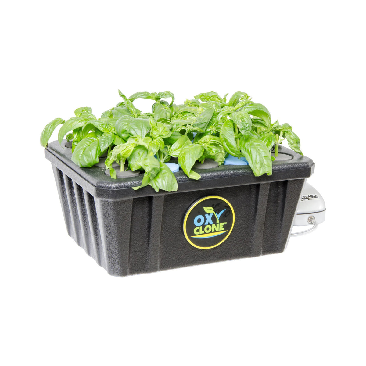 OxyClone Pro 20-site cloning system with healthy green plants growing in a black reservoir.