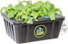 OxyCLONE 20 Site PRO Series Cloning System