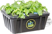 OxyClone Pro 20-site cloning system with healthy green plants growing in a black reservoir.
