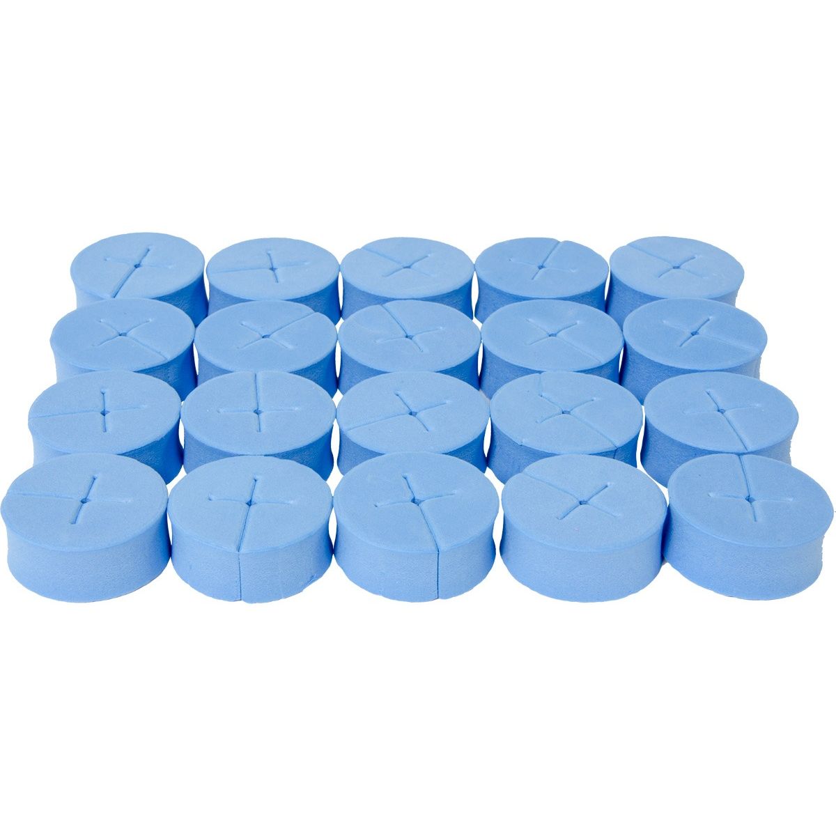 Blue hydrocotton plugs for cloning and propagation, cross-cut top.