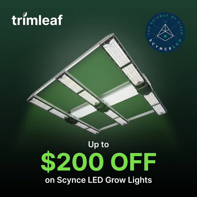 Up to $200 Off Scynce LED