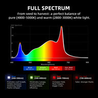 Spider Farmer G5000 Cost-Effective Full Spectrum