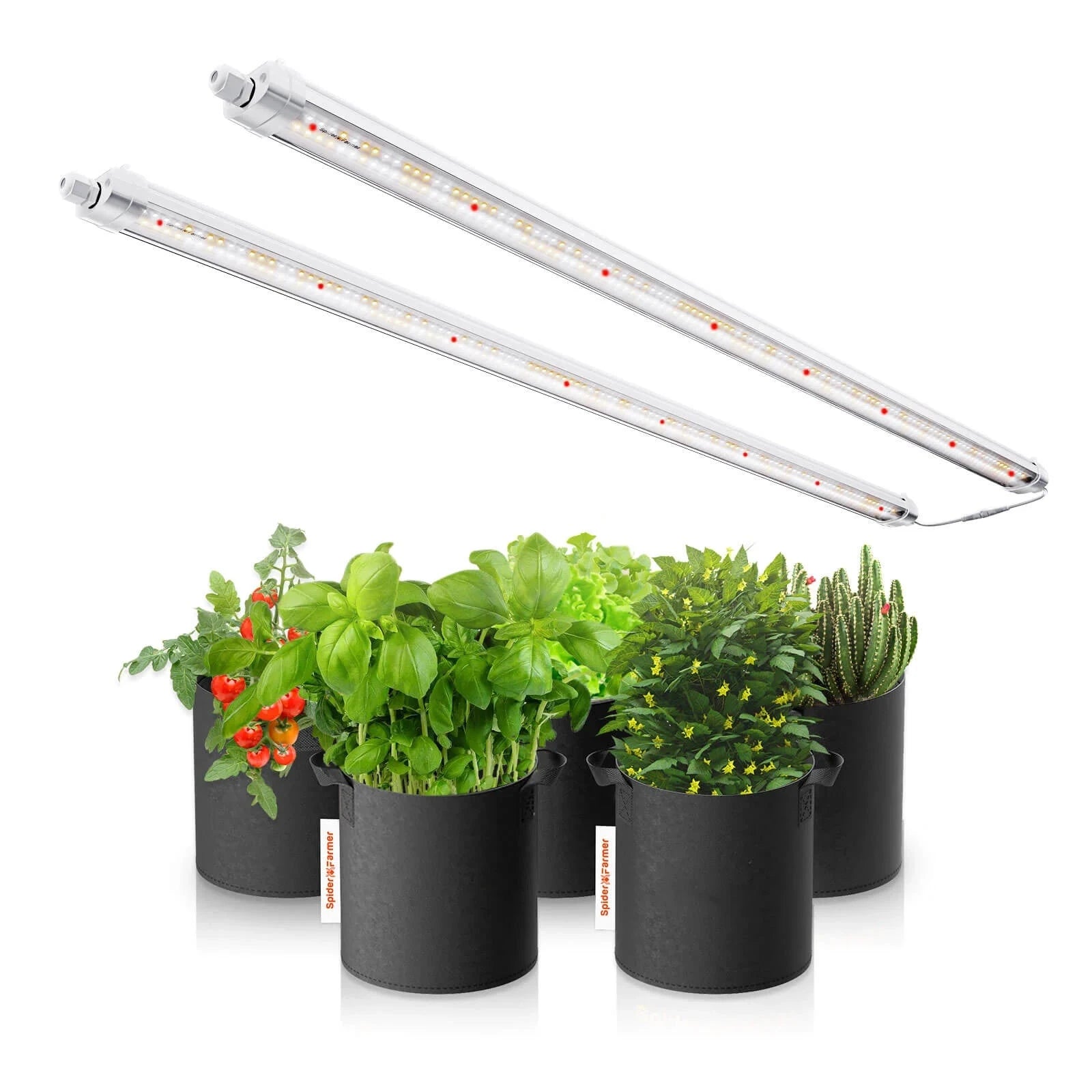 led light for plants indoor Spider Farmer Glow80 80W Full Spectrum LED Grow Light