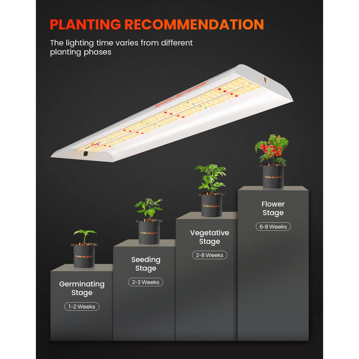 Spider Farmer SF300 Veg LED Grow Light Recommendation