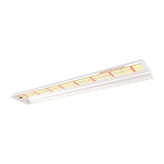 Seedling Grow Lights