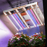 Spider Farmer UV30 and IR16 Supplemental LED Bar Set (23.6")