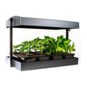 SunBlaster LED Grow Light Garden