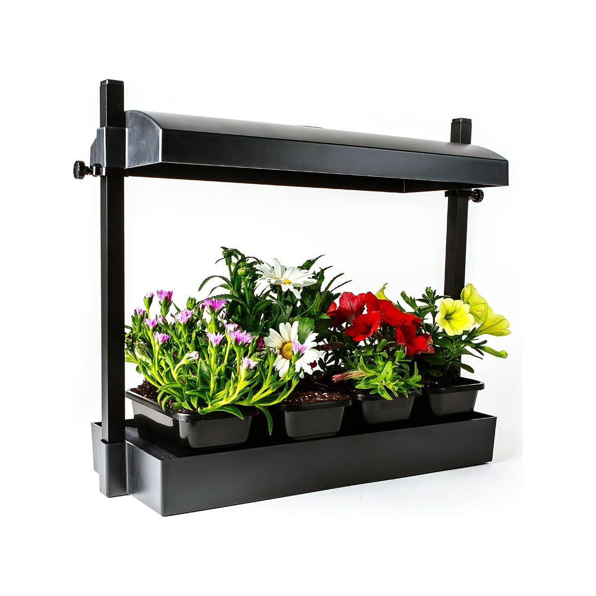 SunBlaster Micro LED Grow Light Garden - Black