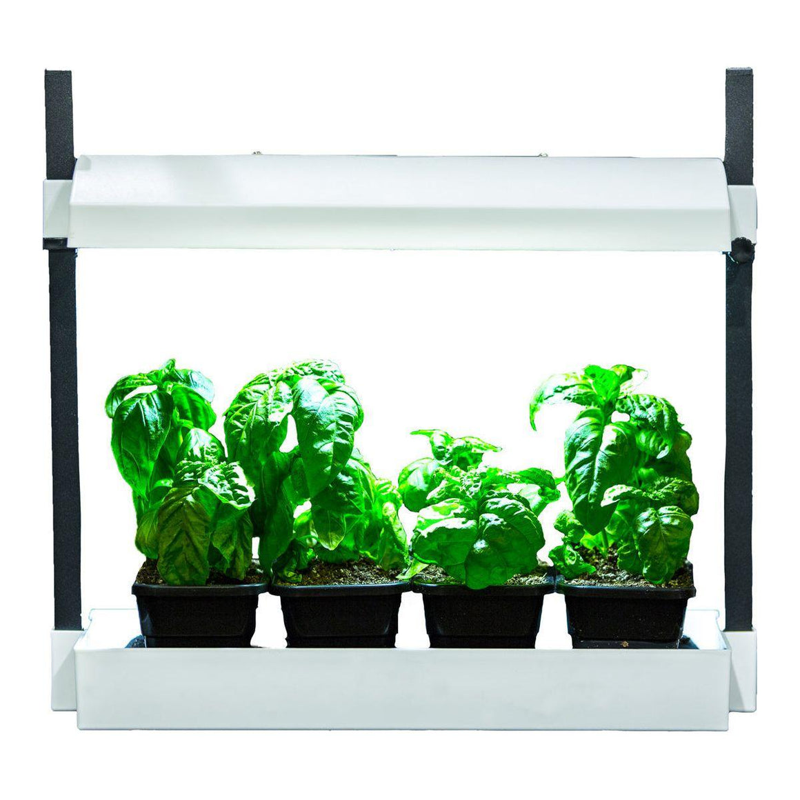 SunBlaster Micro LED Grow Light Garden - White