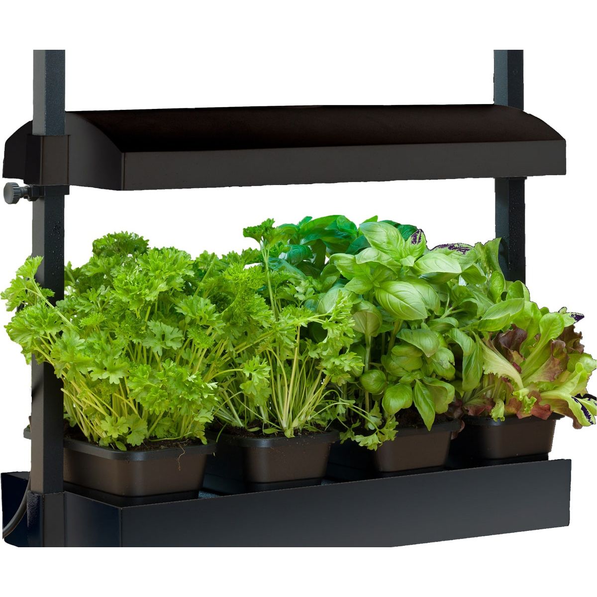 SunBlaster Micro T5 Grow Light Garden - Black