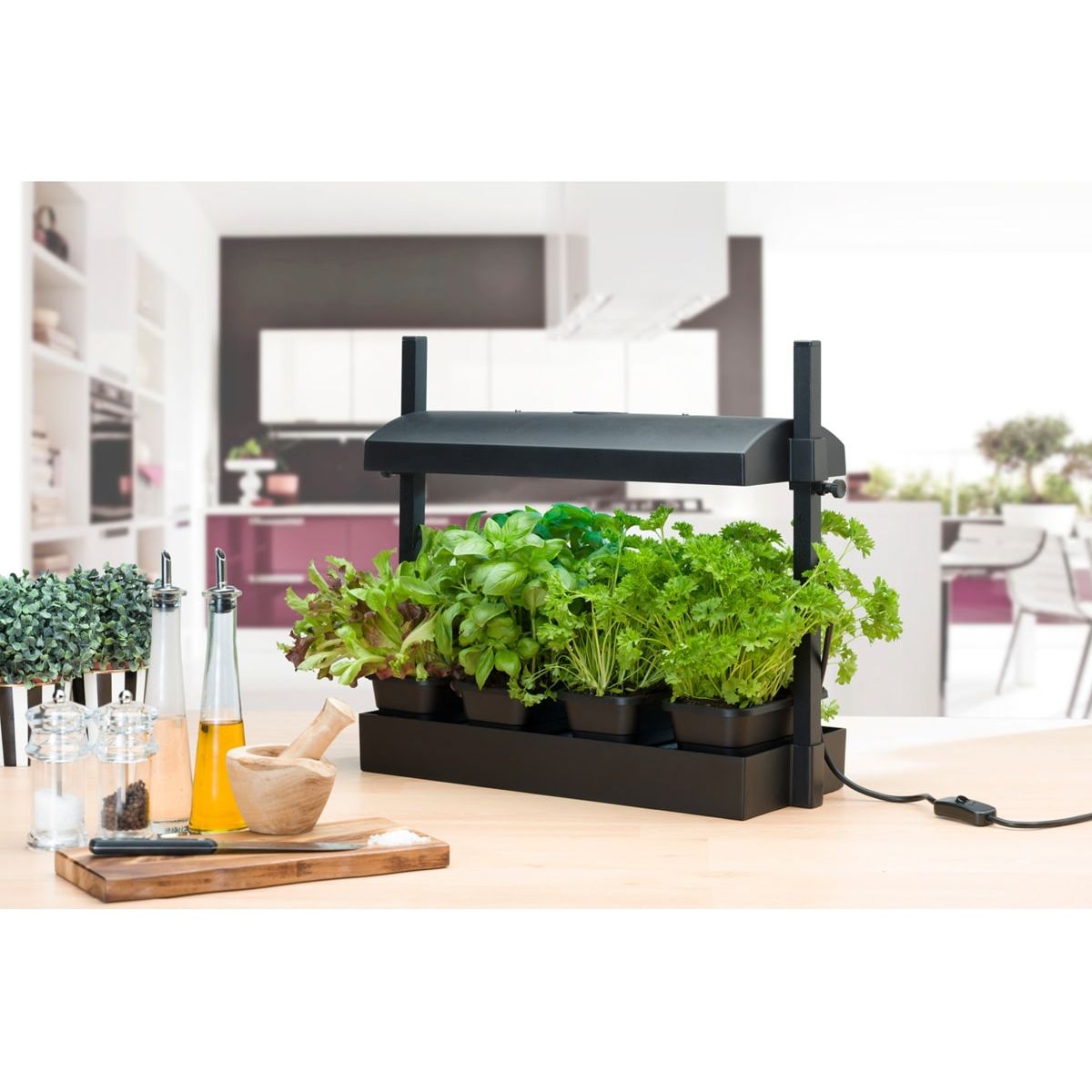 SunBlaster Micro T5 Grow Light Garden - Black