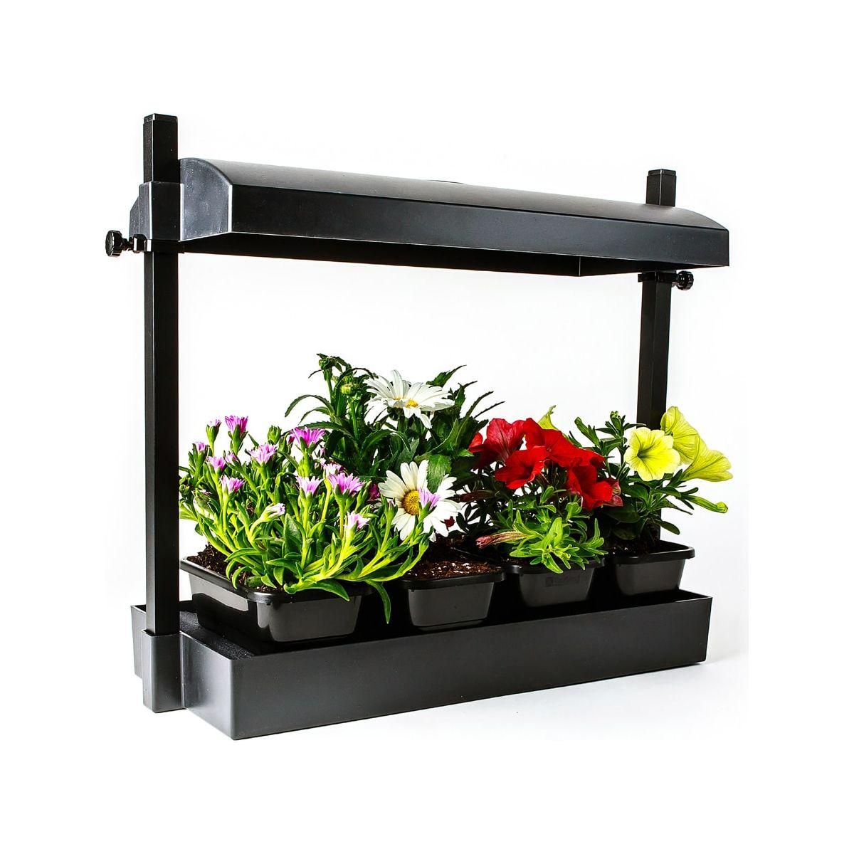 Black grow light system with trays of colorful blooming plants including pink, white, red, and yellow flowers.