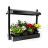 SunBlaster Micro T5 Grow Light Garden - Black