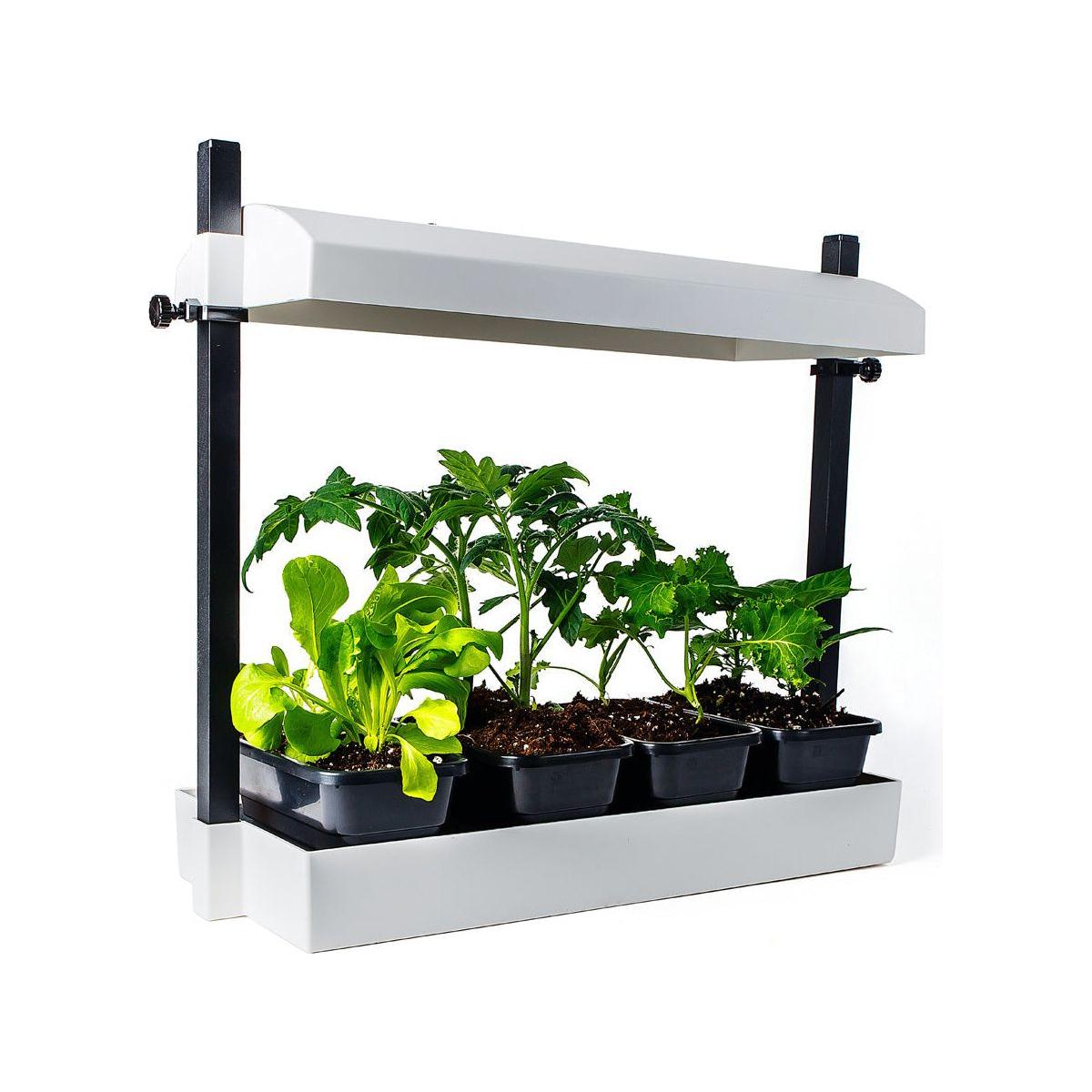 t5 plant grow lights SunBlaster LED Grow Light Micro Garden