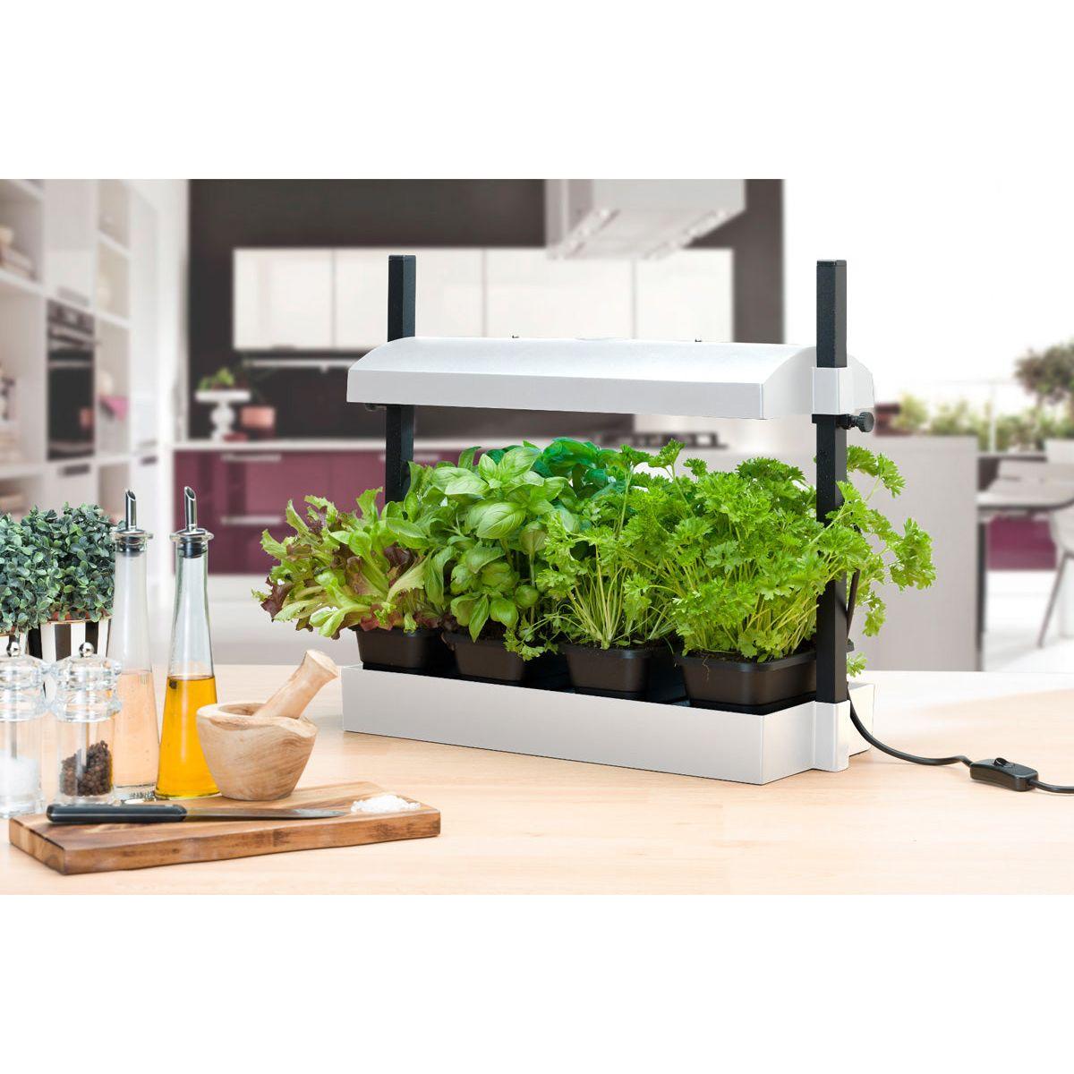 t5 plant grow lights SunBlaster LED Grow Light Micro Garden