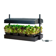 SunBlaster T5 Grow Light Garden