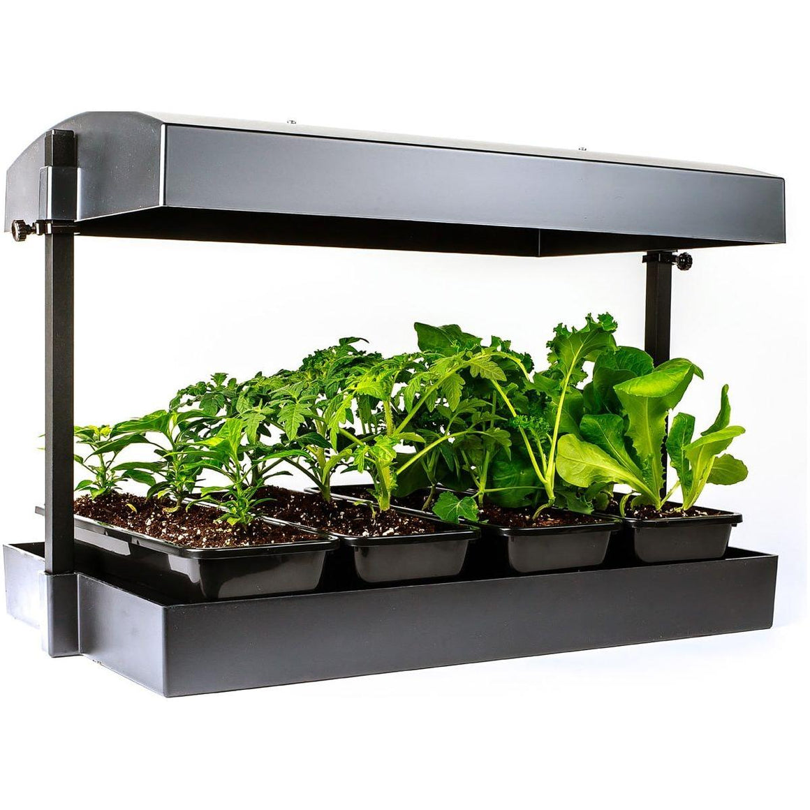 SunBlaster T5 Grow Light Garden