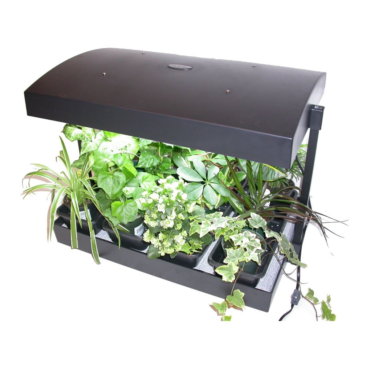 SunBlaster T5 Grow Light Garden