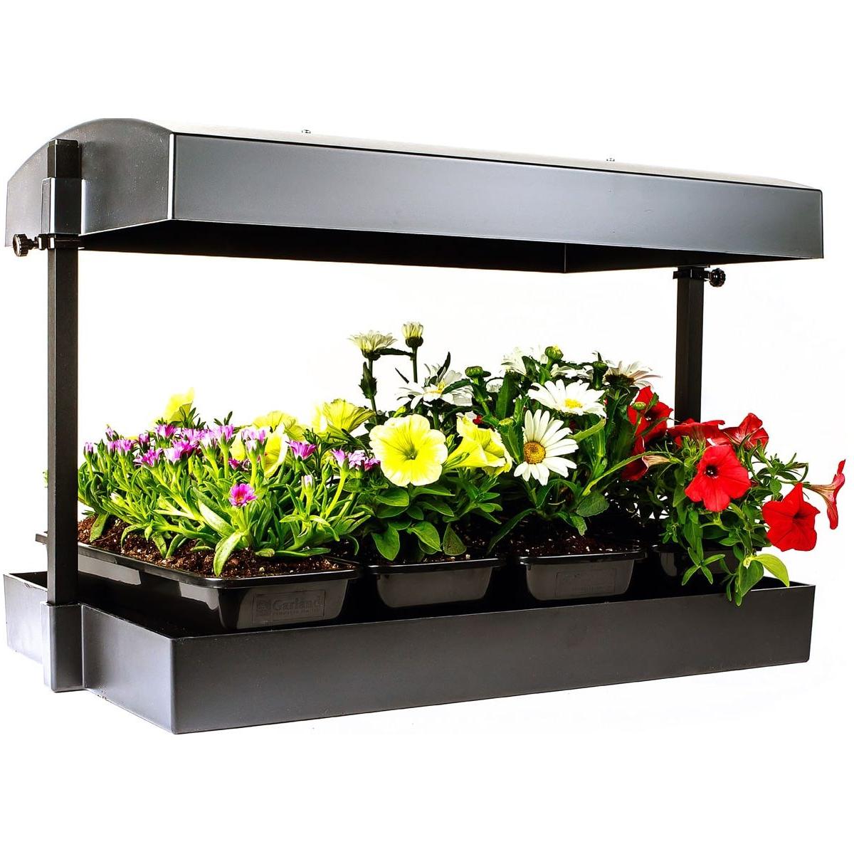 Sunblaster T5 hydroponic grow system with trays of blooming pink, yellow, white, and red flowers under a light.