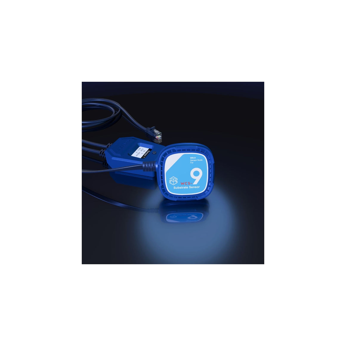 Blue TrolMaster WCS-9 Substrate Sensor with digital readout and coiled cable on a dark reflective surface.
