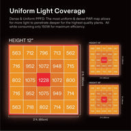LED grow light PAR maps display PPFD values at 12