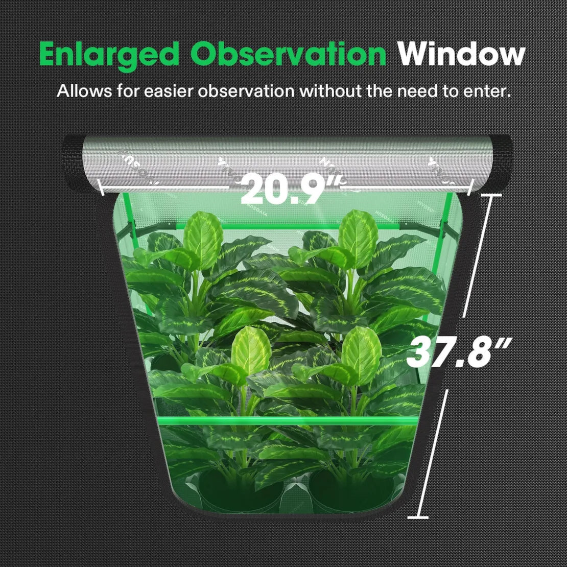VIVOSUN grow tent with an enlarged observation window, revealing green plants. Window dimensions: 20.9" wide x 37.8" high.