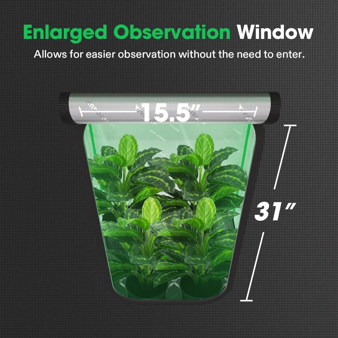Vivosun grow tent features an enlarged observation window, 15.5" wide by 31" high, showcasing four green plants.