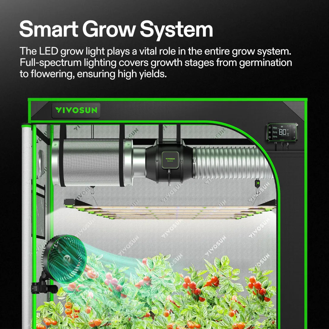 Vivosun Smart Grow System, full-spectrum LED grow light, exhaust fan, controller, and thriving tomato plants in a grow tent.