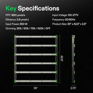 VIVOSUN VSFD6500 full spectrum LED grow light, 6-bar design, with dimensions (39x42.8x2.75