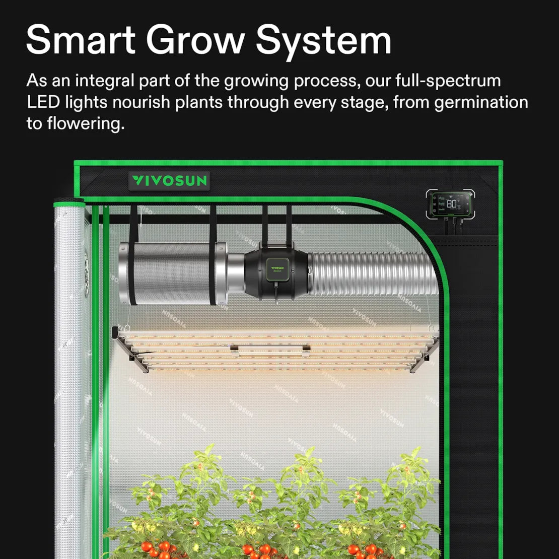 VIVOSUN indoor grow tent with LED full-spectrum grow light, exhaust system, digital controller, and tomato plants.