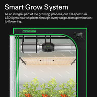 VIVOSUN indoor grow tent with LED full-spectrum grow light, exhaust system, digital controller, and tomato plants.