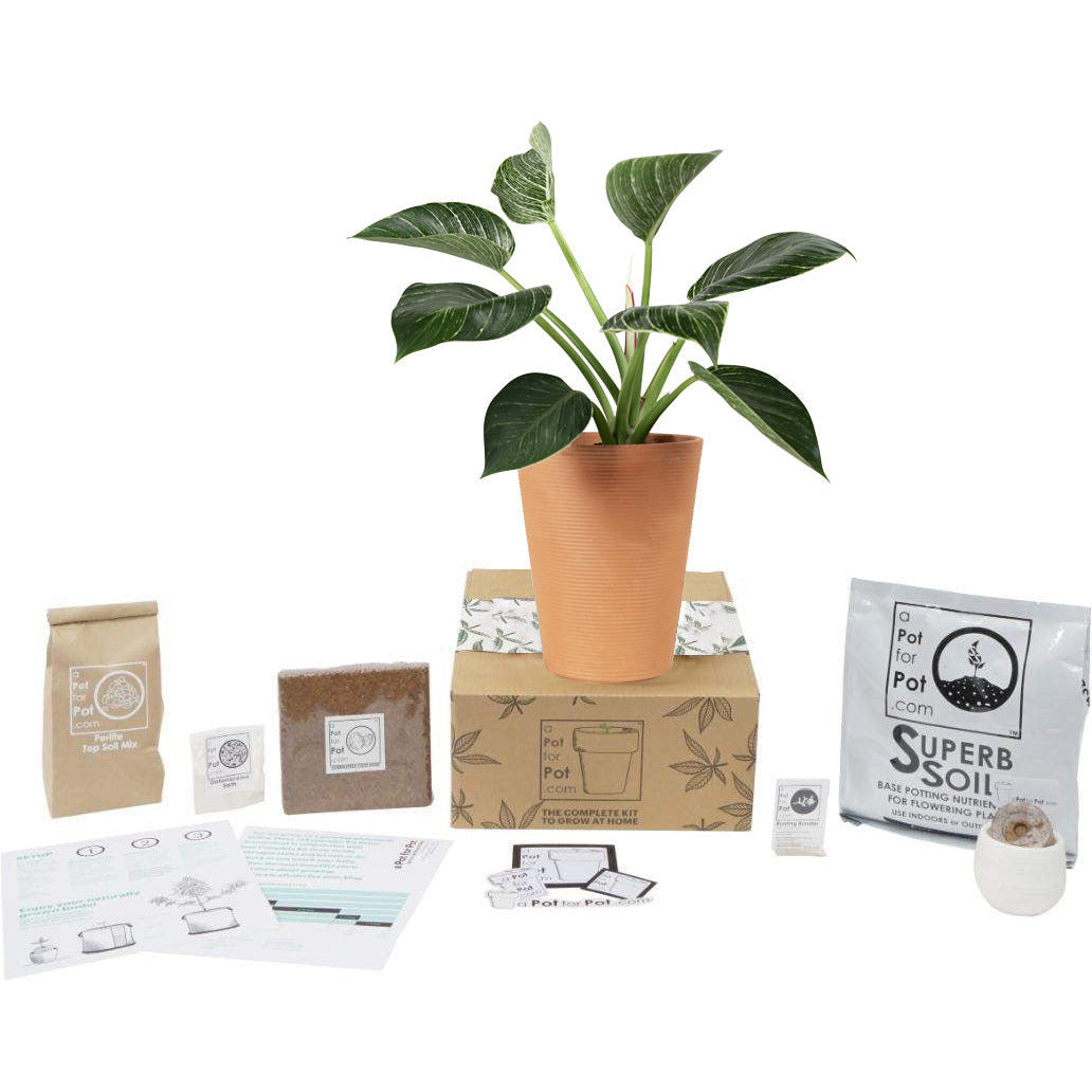 Small Scissors, Tents & grow boxes \ HomeBox \ HomeBox Accesories  Accessories \ Other