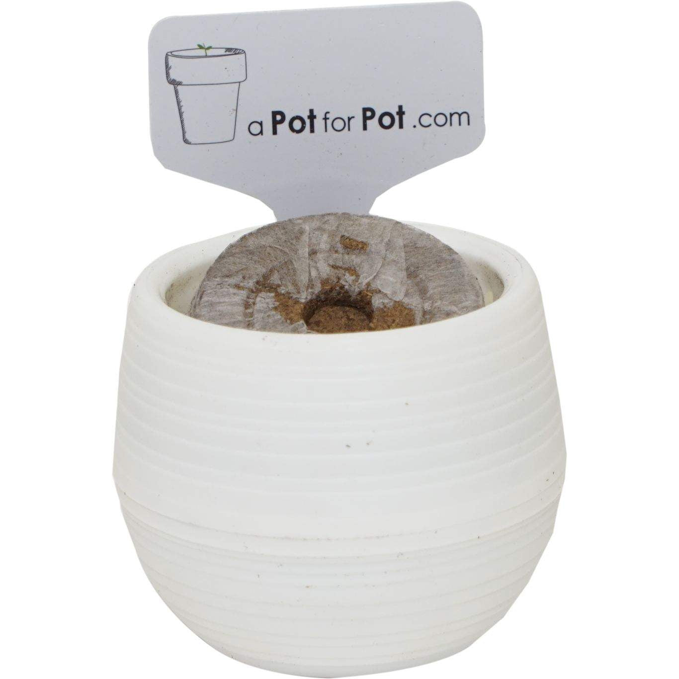 https://trimleaf.com/cdn/shop/products/a-pot-for-pot-a-pot-for-pot-medium-complete-pot-grow-kit-2-gallon-36341609267416_2048x.jpg?v=1664993036