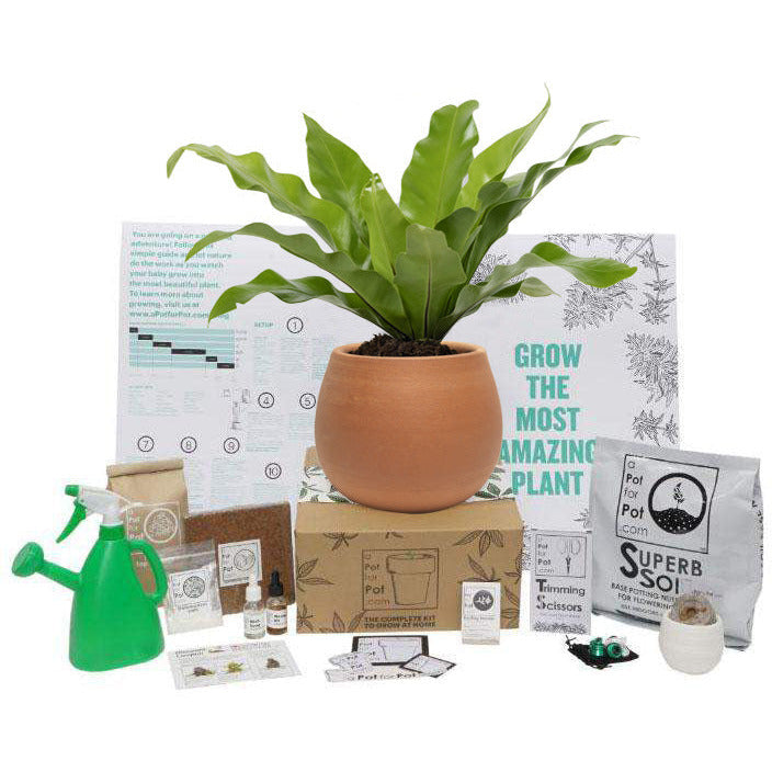 https://trimleaf.com/cdn/shop/products/a-pot-for-pot-a-pot-for-pot-small-complete-pot-grow-kit-2-gallon-37763866394840.jpg?v=1664993172