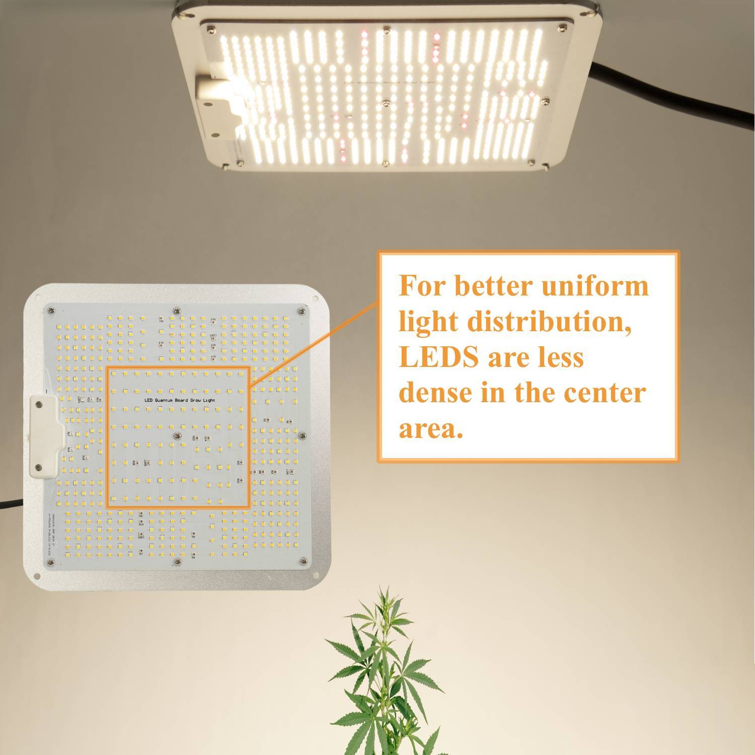 Quantum MAX 150W - Full Spectrum - Lampe horticole LED pour box de culture  - GrowLED