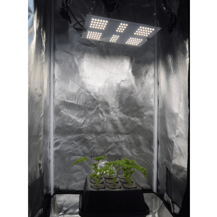 Horticulture Lighting Group HLG 65 V2 LED Grow Light setup