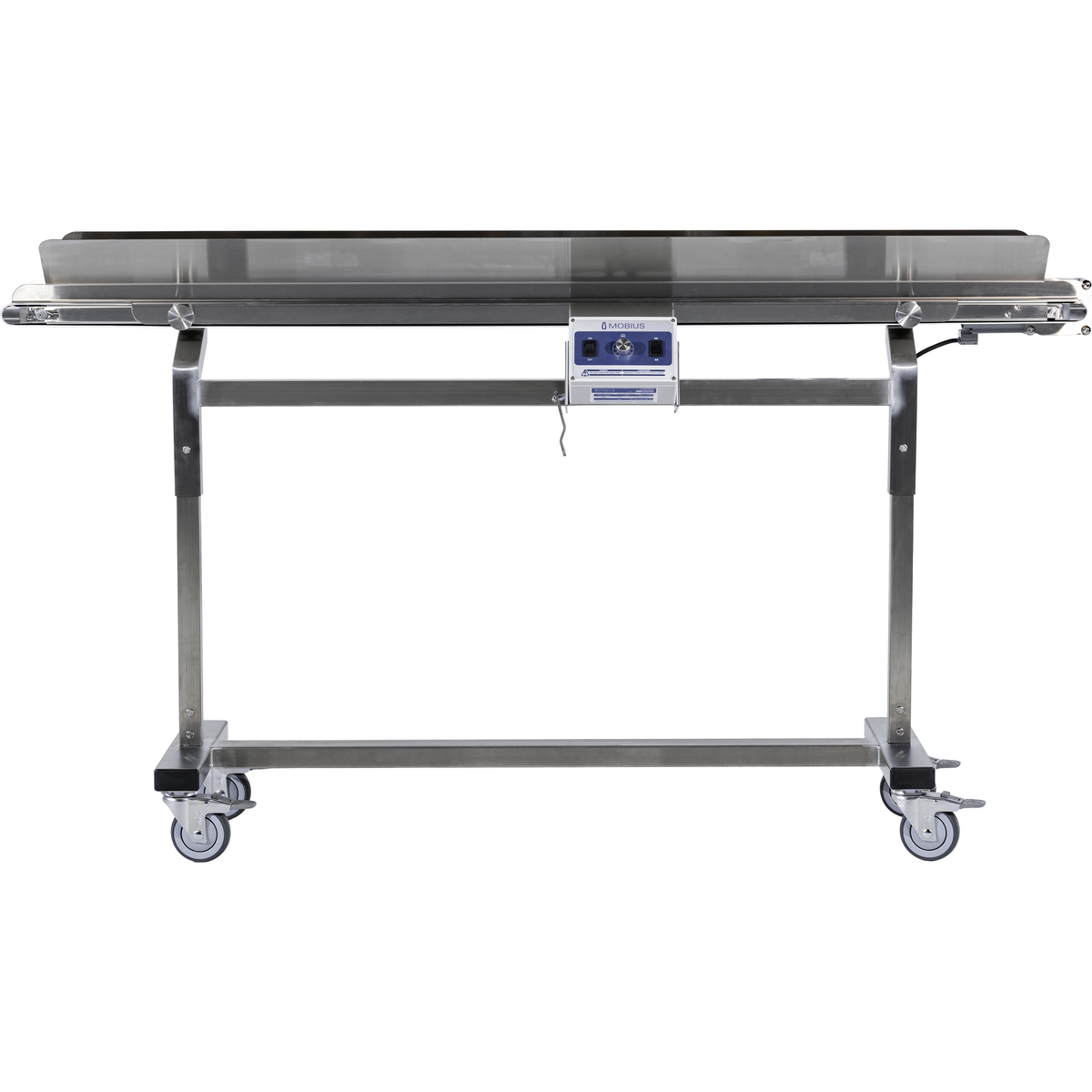 Stainless steel infeed conveyor system with wheels and a Mobius control panel.