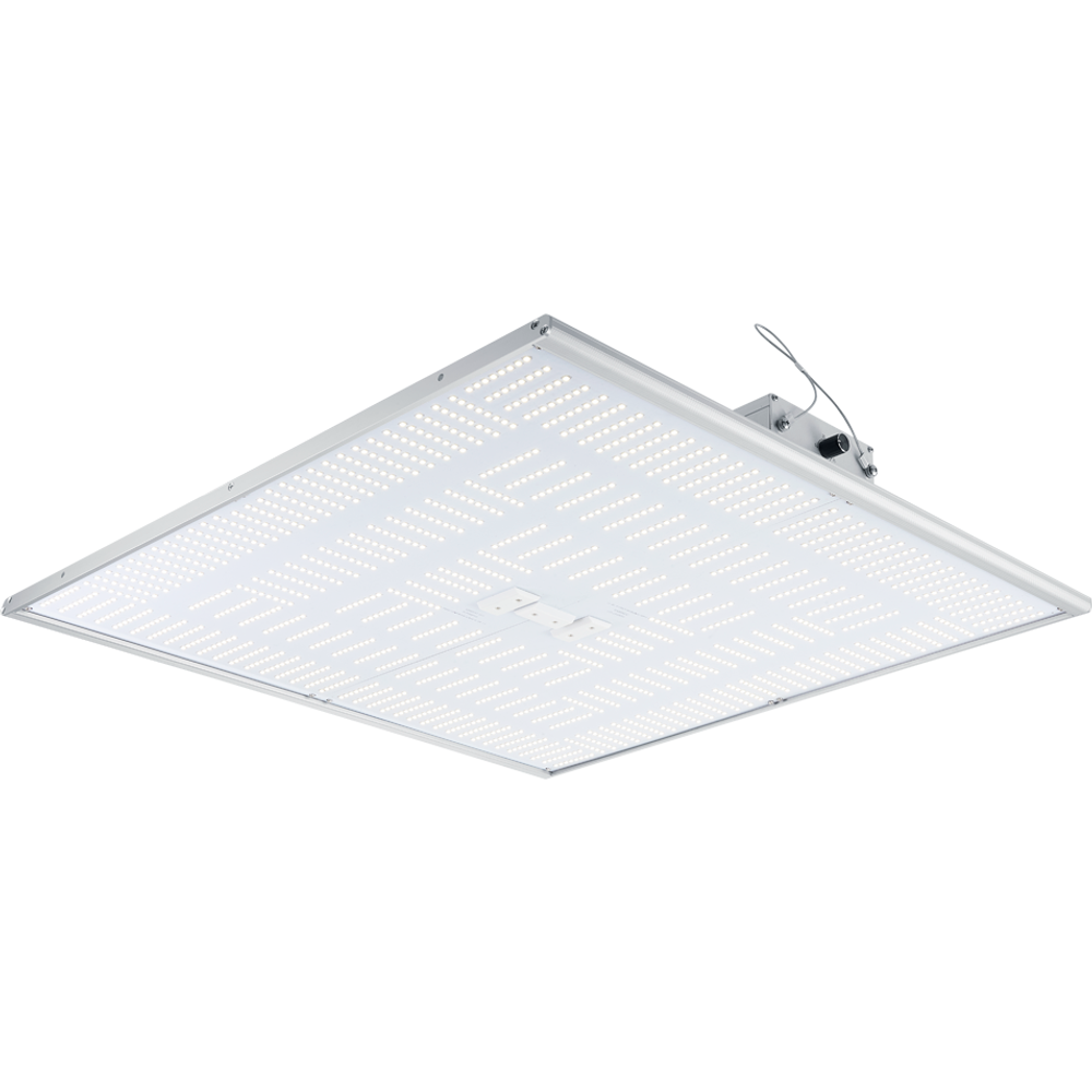 Nextlight NEXlight 420H LED grow light, flat panel design with many white LEDs.