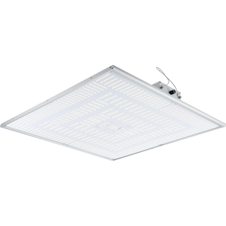 500W LED Grow Lights